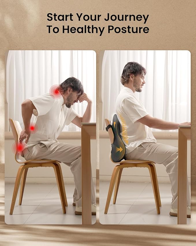 ProtoArc Lumbar Support Pillow for Office Chair, Memory Foam Back Support Pillow for Lower Back Fatigue Relief, Lumbar Pillow Desk Chair Back Cushion, Ergonomic Back Rest for Chair, Car - Dark Gray