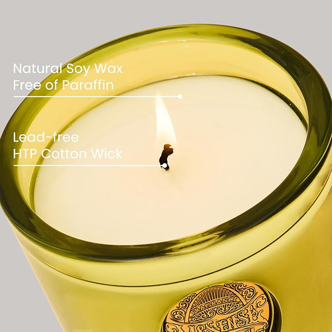 M&SENSE Natural Fresh Soy Candle | White Tea Sage & Matcha Green | 9.2 oz, 50H Burn Time | Luxury Scented Candle for Relaxation, Gifting, Home Décor | Ideal for Bedroom, Office, Party Ambiance
