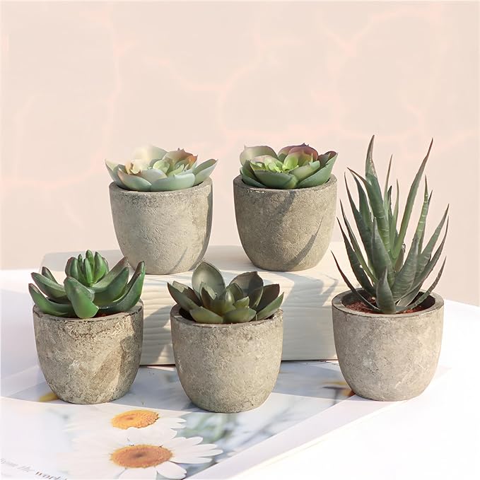 Artificial Succulent Plants Potted Set of 5,Faux Succulent Plants Potted Realistic Fake Succulents in Eco-Friendly Pots for Home Decor, Lifelike Low-Maintenance Desk Decor Gift