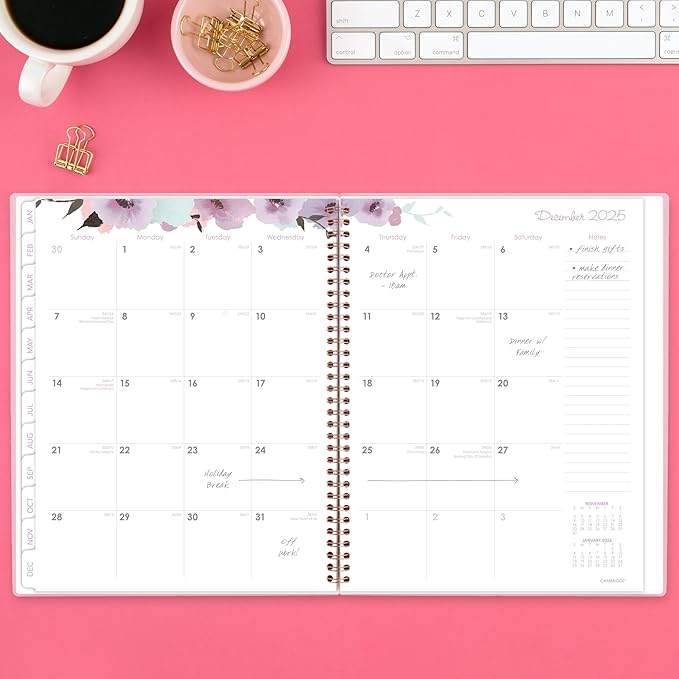 Cambridge 2025 Planner, Weekly & Monthly, 8-1/2" x 11", Large, Mina (1134-905-25)