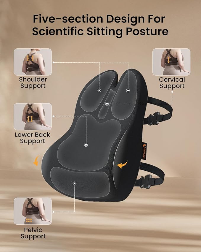 ProtoArc Lumbar Support Pillow for Office Chair, Memory Foam Back Support Pillow for Lower Back, Lumbar Cushion Desk Chair Back Cushion, Ergonomic Back Rest for Chair, Car, Home - Black