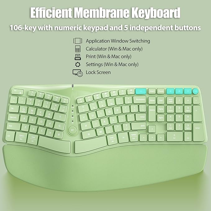Bow Split Ergonomic Keyboard Wireless with Cushioned Wrist & Palm Rest, Wireless 2.4G/Bluetooth/Wired USB-C, Comfortable Natural Typing, Compatible with Windows/Mac/PC/Laptop, Matcha Green