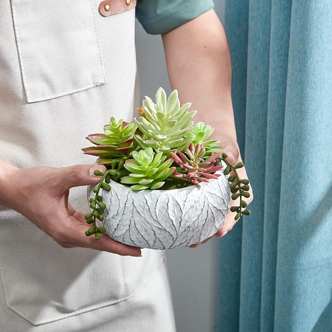 Artificial Succulent Plants Fake Potted Indoor with Ceramic Pot - Home Office, Bedroom, Bathroom Decor - Low Maintenance Desk Plants for Coffee Table & Room Aesthetics