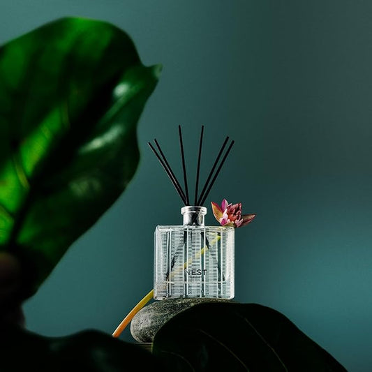 Nest New York Reed Diffuser, Forest Rain - 5.9 fl oz - Fragrance for Up to 90 Days - Reusable, Refillable Glass Holder - Includes 8 All-Natural Reed Sticks - Flame Free