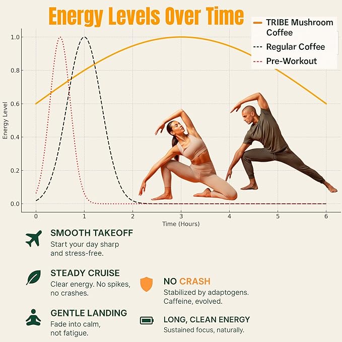 TRIBE 6 Mushroom Coffee + MCT Oil, Creamy Instant Barista Blend - Clean Daily Energy, Focus, Immune & Gut Support – 2000mg Adaptogenic Powder – USA-Grown - Lion’s Mane, Reishi, Turkey Tail – 30 Serv