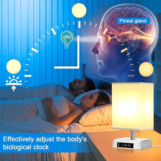 Bedside Table Wake up Light Alarm Lamp APP Control Sound and Light Awakening Sunrise Alarm Clock lamp Bioclock Adjustment LED lamp Built-in White Noise nightstand Lamp 3 Color Adjustable