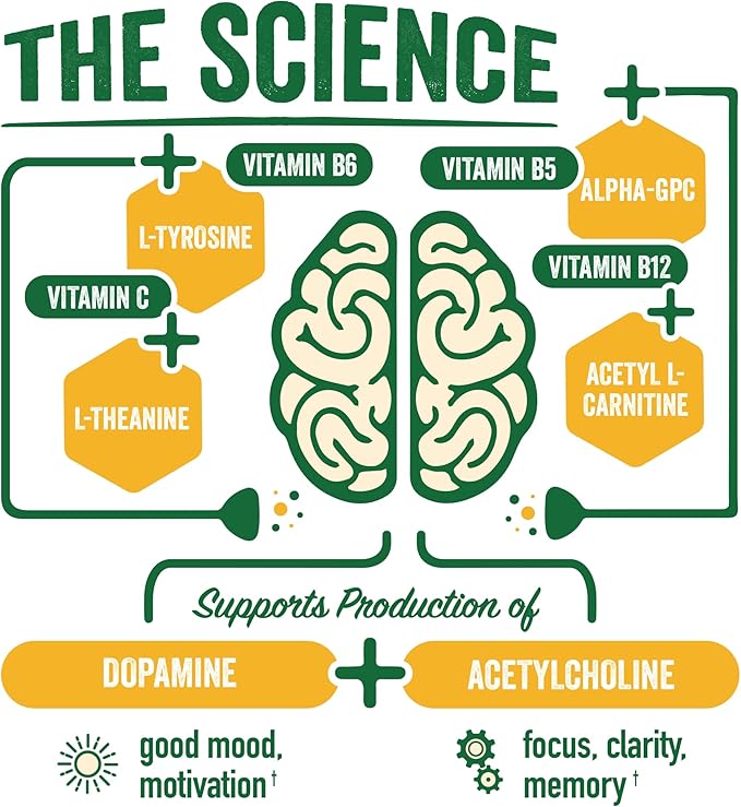 BrainJuice Brain Support Shot, Gluten Free Supplement Shots for Energy & Focus, Healthy Drinks with Alpha GPC, Vitamin B & Organic Green Tea Extract Caffeine, Peach Mango, 2.5 fl oz, 12 Pack