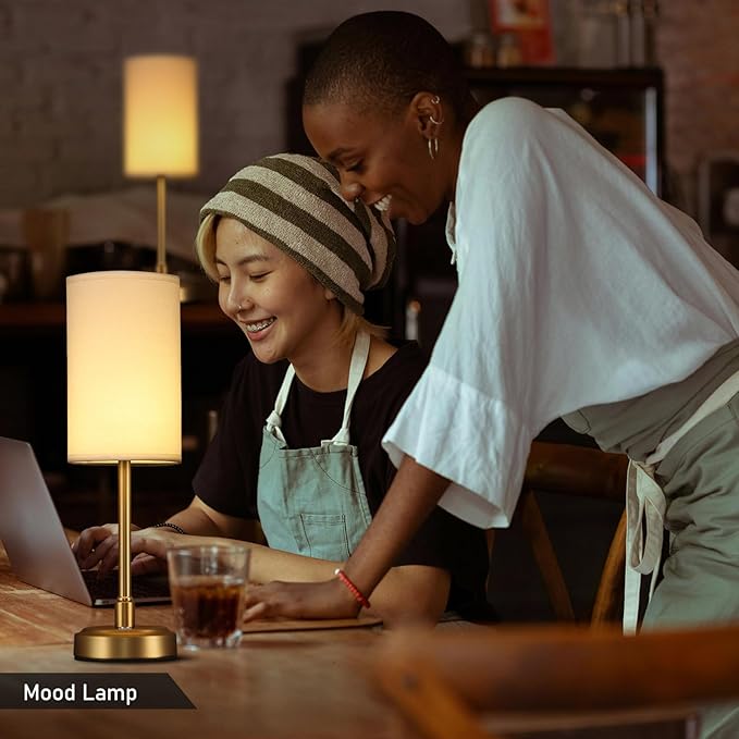 Small Cordless Touch Lamps for Nightstand Lamp Battery Operated Rechargeable Lamp, Portable 3 Colors Stepless Dimmable Fabric Shade Night Light for Restaurant/Bedroom/Outdoor (White+Brass)