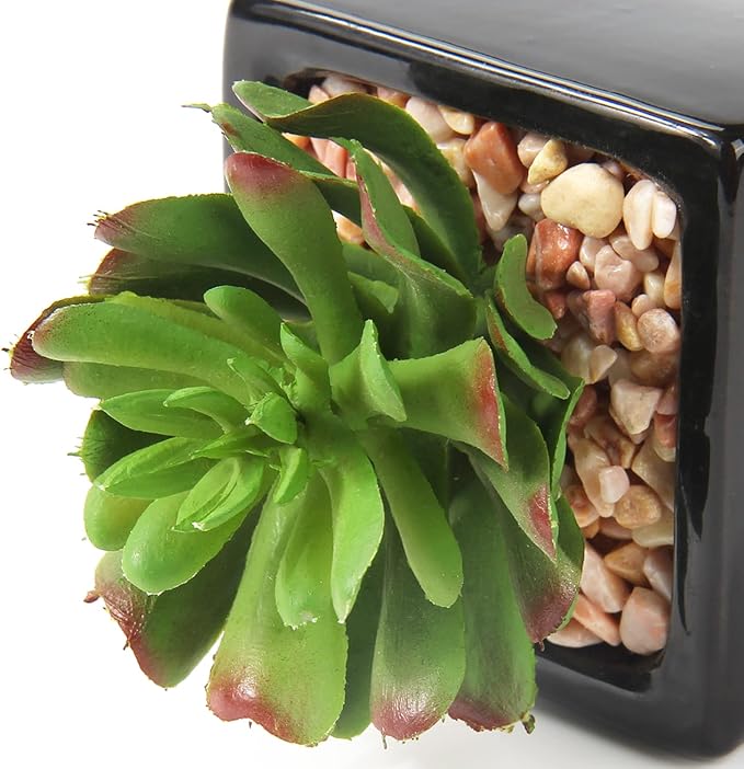 Hollyone Small Succulents Artificial 3 Pcs Faux Succulents in Pots Fake Succulent Plants with Black Ceramic Pots for Modern Home Office Desk Bathroom Shelf Living Room Decor