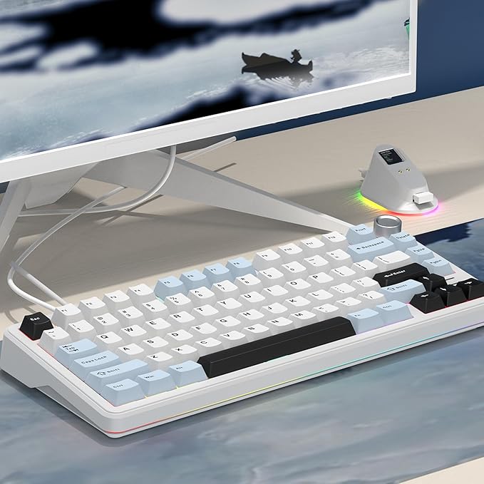 75% Wired Hot Swappable Mechanical Keyboard with Metal Knob | Mount Gasket | Programmable RGB Backlit & Adjustable Side Lighting (Peach Linear Switch)