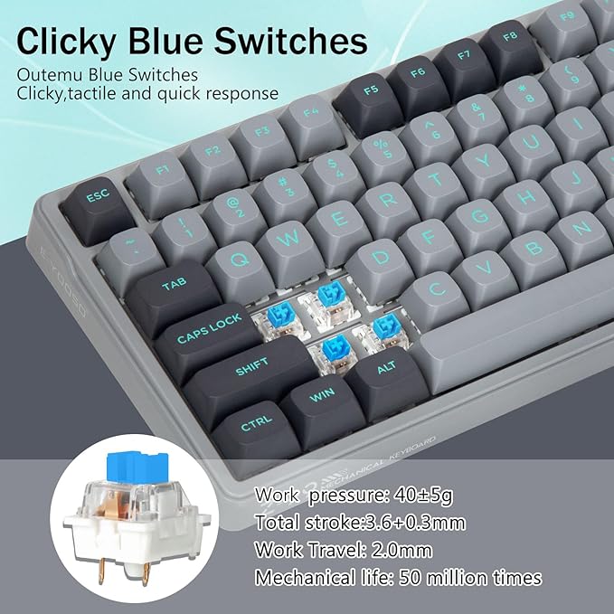 E-YOOSO Wired Mechanical Gaming Keyboard, Gasket Structure with Sound Dampening Foam, Clicky Blue Switches, Green LED Backlit RGB Side Light, 99 Keys Custom Keyboard for PC,Gray/Black