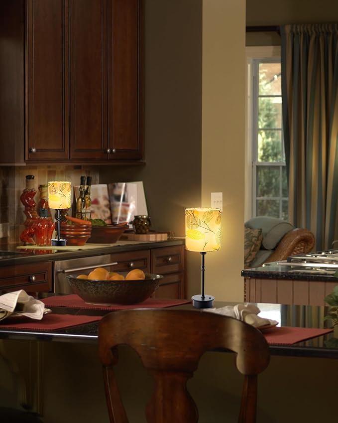 UMEXUS Cordless Table Lamp for Bedroom, Rechargeable Battery Operated Lights, Dimmable Touch Bedside Night Light Lamp for Nightstand Living Room Side End Table Outdoor Patio Home Decor