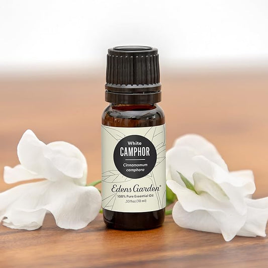 Edens Garden Camphor- White Essential Oil, 100% Pure Therapeutic Grade (Undiluted Natural/Homeopathic Aromatherapy Scented Essential Oil Singles) 10 ml