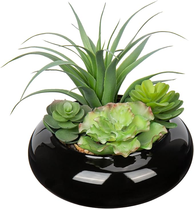 Large Artificial Succulents Plants Faux Succulents in Pots Fake Succulent Arrangement Potted Plants with Black Ceramic Pot for Office Desk Bathroom Shelf Living Room Indoor & Outdoor Home Decor