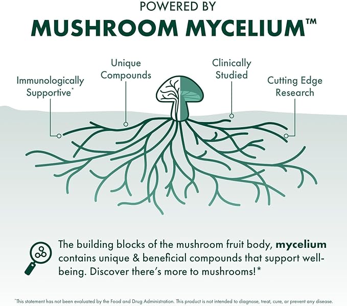 Host Defense Maitake Capsules - Immune & Cellular Health Support Supplement - Dietary Herbal Supplement with Maitake Mushroom & Mushroom Mycelium - 60 Capsules (30 Servings)*