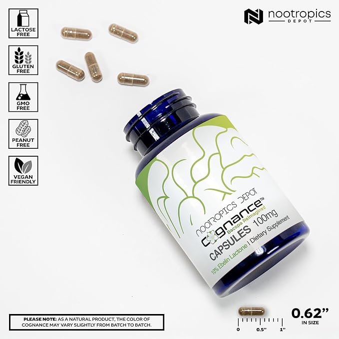 Nootropics Depot Cognance Enhanced Bacopa Capsules | 100mg | 10% Ebelin Lactone | Bacopa monnieri | Mood, Memory, & 5-HT2A Activation, 60 Count (Pack of 1)