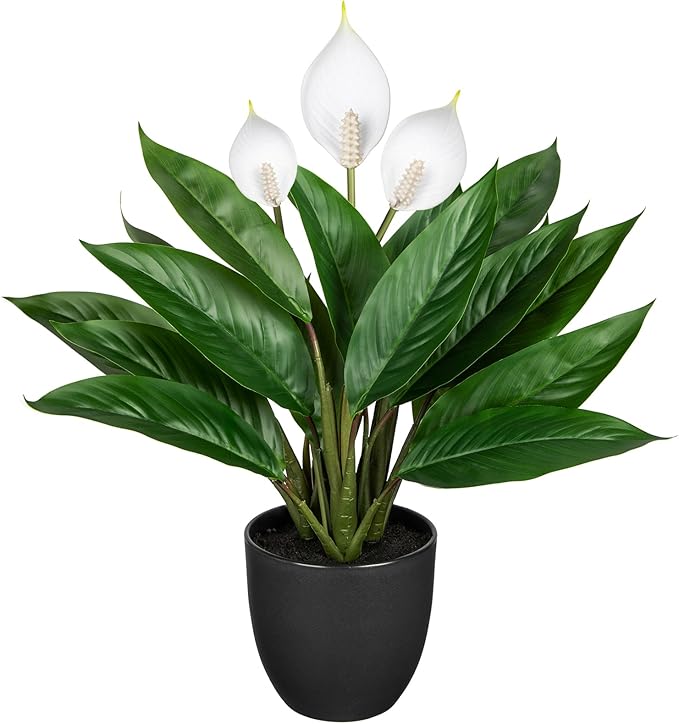 Fake Plants 20'' Faux Plants Artificial Potted Plants Indoor Realistic White Anthurium Artificial Flowers, Fake Potted Plants for Home Office Farmhouse Kitchen Bathroom Table Shelf Decor