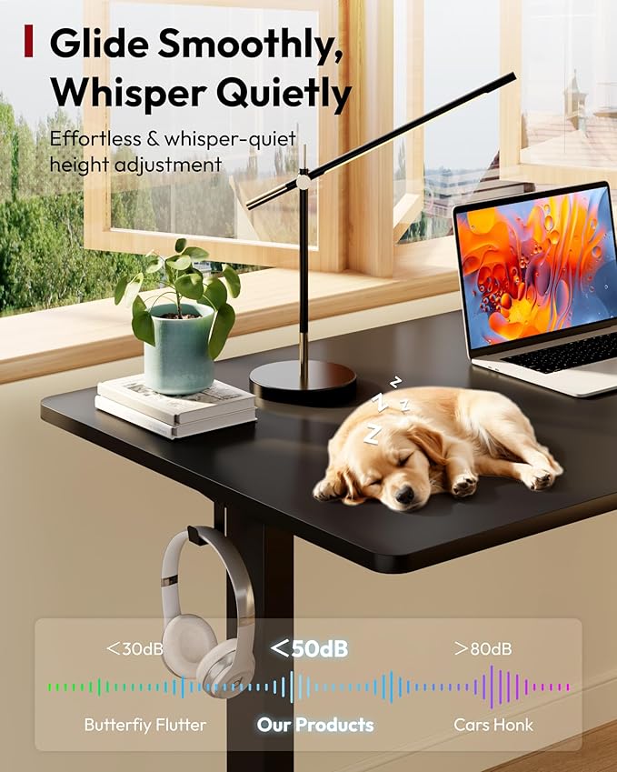 SANODESK Electric Standing Desk 55 x 28 Inches Whole-Piece Desktop Height Adjustable Stand Up Desk w/6-Button Controller Ergonomic Computer Desk for Home Office, Black Frame + Black Tabletop