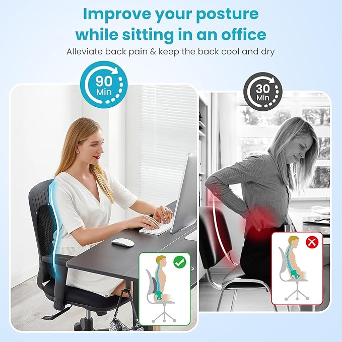 Lumbar Support Pillow Office Chair Car Back Pillow, Ergonomic Lower Back Pain Relief Breathable Air Fiber Cushion for Long Sitting Worker Driver & Handicapped, Adjustable Strap (Dark Grey)