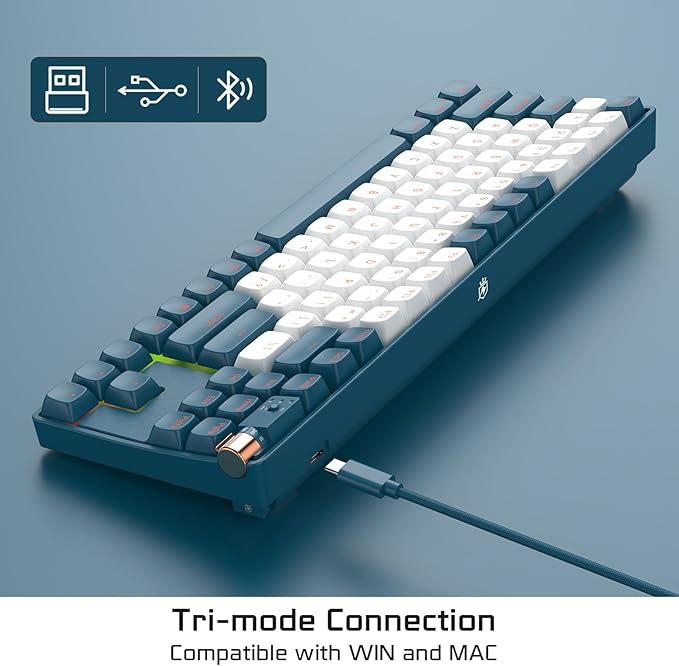 R87 Wireless Mechanical Keyboard, Hot Swappable Wired/2.4G Wireless/Bluetooth Keyboard with RGB Light for Windows & Mac, PBT Keycaps, G Pro Yellow Switch, Whale Blue
