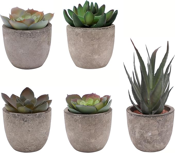 Artificial Succulent Plants Potted Set of 5,Faux Succulent Plants Potted Realistic Fake Succulents in Eco-Friendly Pots for Home Decor, Lifelike Low-Maintenance Desk Decor Gift