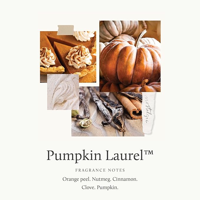 Thymes Petite Oil Reed Diffuser Set – Includes Reed Diffuser Sticks, Fragrance Oil, & Glass Bottle – Luxury Home Decor – Fall Decor – Fall Scents – Burnt Orange (Pumpkin Laurel, 4 fl oz)