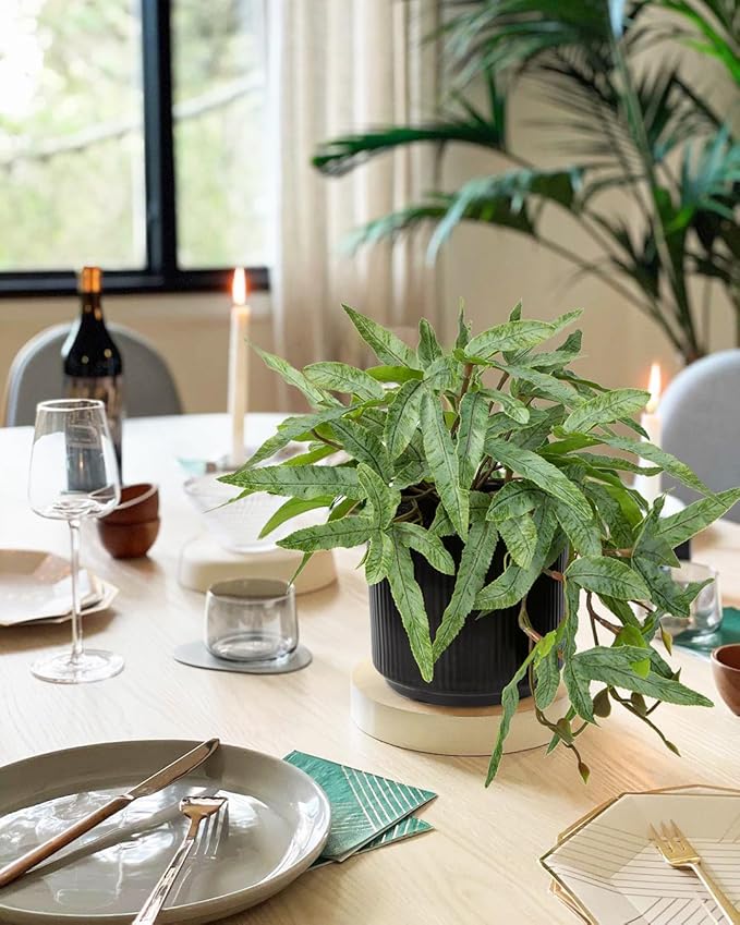 Briful Faux Plants Indoor 9'' Artificial Potted House Plant with Black Ceramic Pot Fake Pteris Cretica Fern Plant for Home Office Room Desk Shelf Decor Indoor(2PACK)