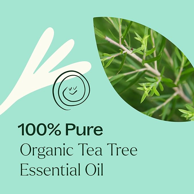 Plant Therapy Organic Tea Tree Oil (Melaleuca) 100% Pure, USDA Certified Organic, Undiluted, Natural Aromatherapy for Skin, Hair, and Toenails, Therapeutic Grade 10 mL (1/3 oz)