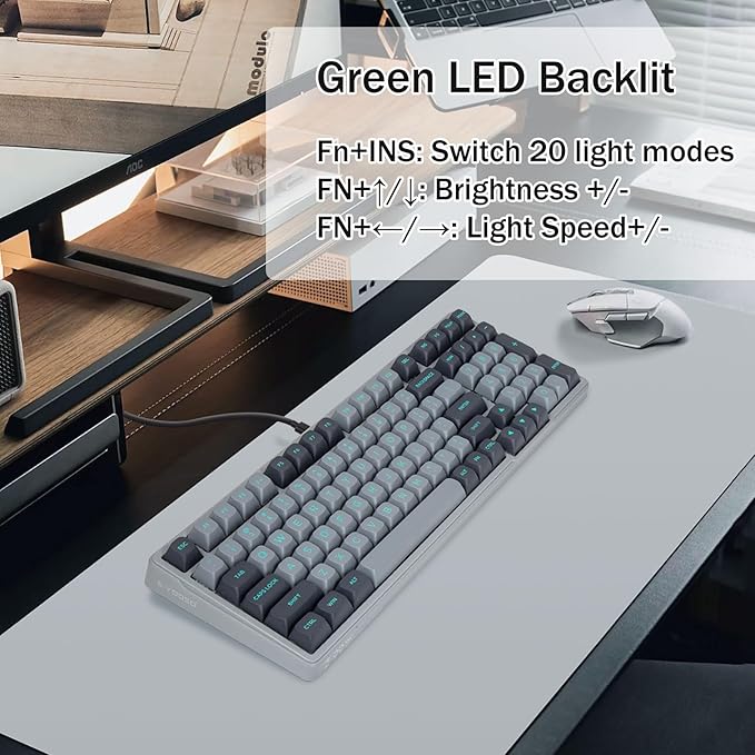 E-YOOSO Wired Mechanical Gaming Keyboard, Gasket Structure with Sound Dampening Foam, Clicky Blue Switches, Green LED Backlit RGB Side Light, 99 Keys Custom Keyboard for PC,Gray/Black