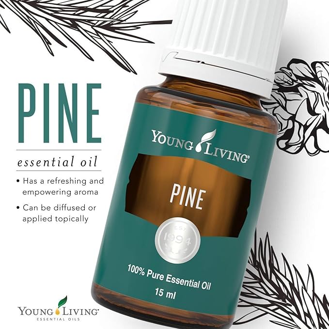 Young Living Pine Essential Oil | 15 ml | Fresh, Woodsy Aroma for DIY Cleaning, Aromatherapy Diffusion, Massage, Meditation, Topical Use (Dilution Required)