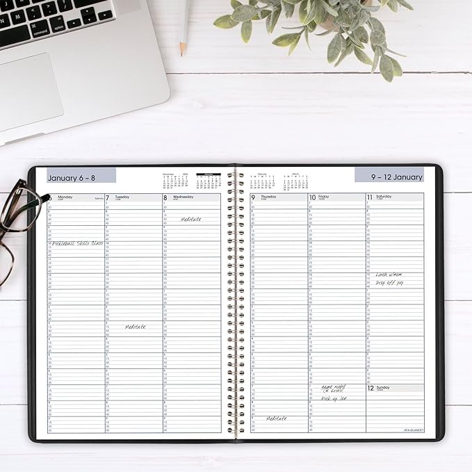 AT-A-GLANCE 2025 Appointment Book Planner, Weekly, 8" x 11", Large, Quarter-Hourly, DayMinder, Black (G5200025)