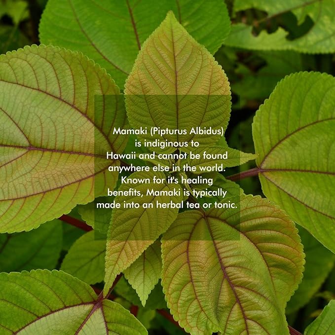 Nakihalani Farm Organically Grown Hawaiian Mamaki Tea (2oz) - Caffeine-Free Herbal Tea - Antioxidant-Rich, Supports Digestion, Promotes Relaxation