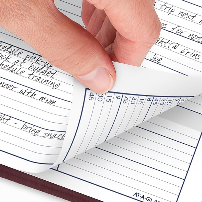 AT-A-GLANCE 2025 Appointment Book Planner, Weekly, 8" x 11", Large, Quarter-Hourly, DayMinder, Burgundy (G5201425)