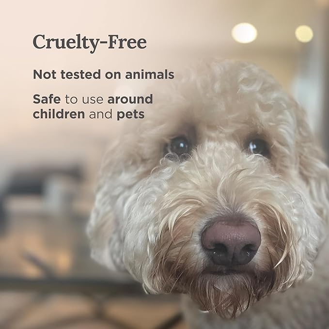 MAGNIFICENT 101 Sage & Palo Santo Aromatherapy Candle - 6 Oz White Soy Wax - 35-Hour Burn & Energy Cleansing - Manifestation & Meditation Accessories - Spiritual Decor & Gifts for Women