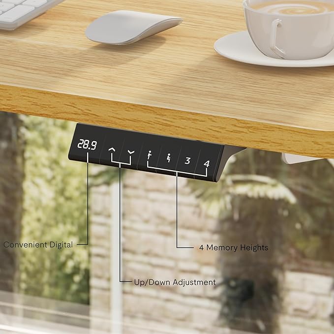 FLEXISPOT EN2 Whole-Piece Standing Desk with Clamp Power Strip, 40 x 24 Electric Stand Up Height Adjustable Desk with Cable Management (White Frame + 40" Maple Top)