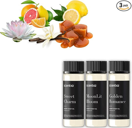 Fragrance Oil Set - Essential Oil Blends for Diffusers, Aromatherapy, Soap & Candle Making, DIY Crafts - Jasmine, Rose, Citrus, Amber, Musk - Valentine's Gift for Her, Couples - 3x20ml (2.03 fl oz)