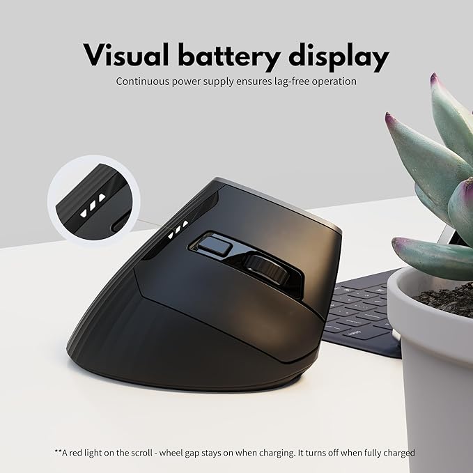 Ergonomic Wireless Mouse,Vertical Mouse,4 Level DPI,2.4GHz USB Receiver,Ergonomic Design for Comfort and Reduced Wrist Strain Ideal for Computer, Laptop, PC and Desktop (Black)