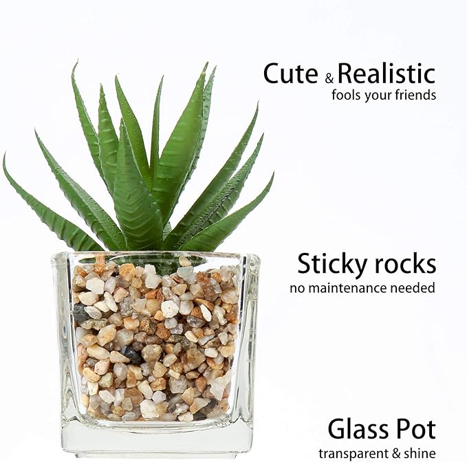 Briful Set of 4 Succulents Plants Artificial in Clear Glass Pots Small Fake Succulents Plants Mini Faux Plants Indoor for Window Sill Office Table Desk Shelf Bathroom Decor