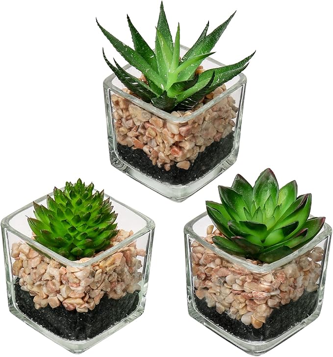 Briful Set of 3 Succulents Plants Artificial in Glass Pots Small Fake Succulents Plants Faux Plants Indoor for Home Office Table Desk Shelf Room Decor