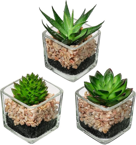 Briful Set of 3 Succulents Plants Artificial in Glass Pots Small Fake Succulents Plants Faux Plants Indoor for Home Office Table Desk Shelf Room Decor