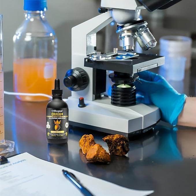 Life Cykel - Chaga Mushroom Extract with Kakadu Plum - Double Extracted Mushroom Tincture - Non-GMO Immune Support Supplement for Adults and Kids - 4 Fl Oz