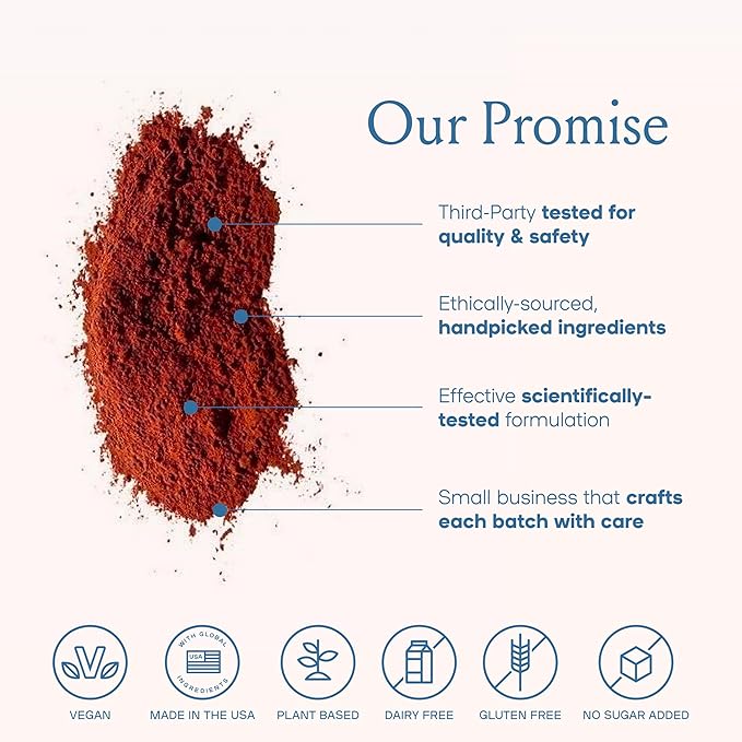 SPACE AND TIME Focus - Mushroom Coffee - 20 Cups of Focus, Productivity & Clean Energy - Instant Mushroom Coffee with Lions Mane, Cordyceps & L-Theanine