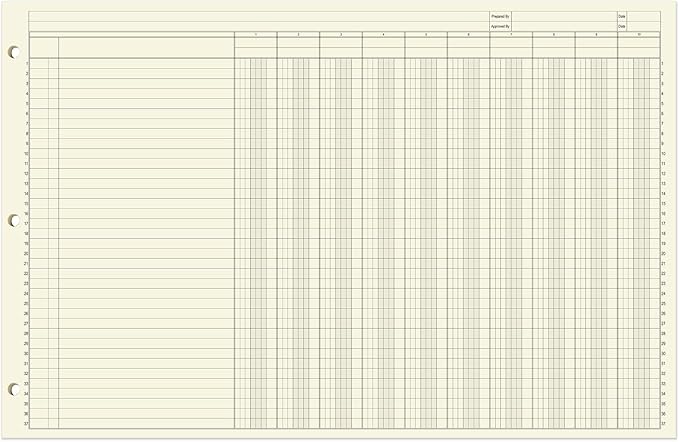 BookFactory Ledger Sheets/Large 10 Column Accounting Ledger Columnar (Ten Columns) Loose Leaf Paper - 17'' x 11'', 50 Pages, Loose Leaf, 3 Hole Punched (SHEET-050-CLCLL(17x11-Ledger-10)-AX)