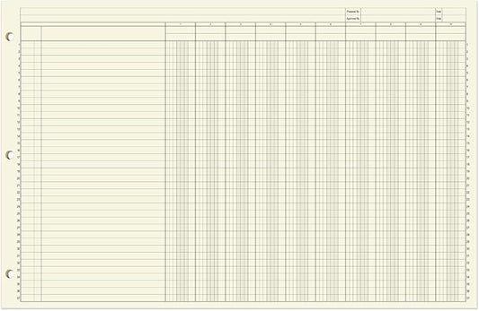 BookFactory Ledger Sheets/Large 10 Column Accounting Ledger Columnar (Ten Columns) Loose Leaf Paper - 17'' x 11'', 50 Pages, Loose Leaf, 3 Hole Punched (SHEET-050-CLCLL(17x11-Ledger-10)-AX)