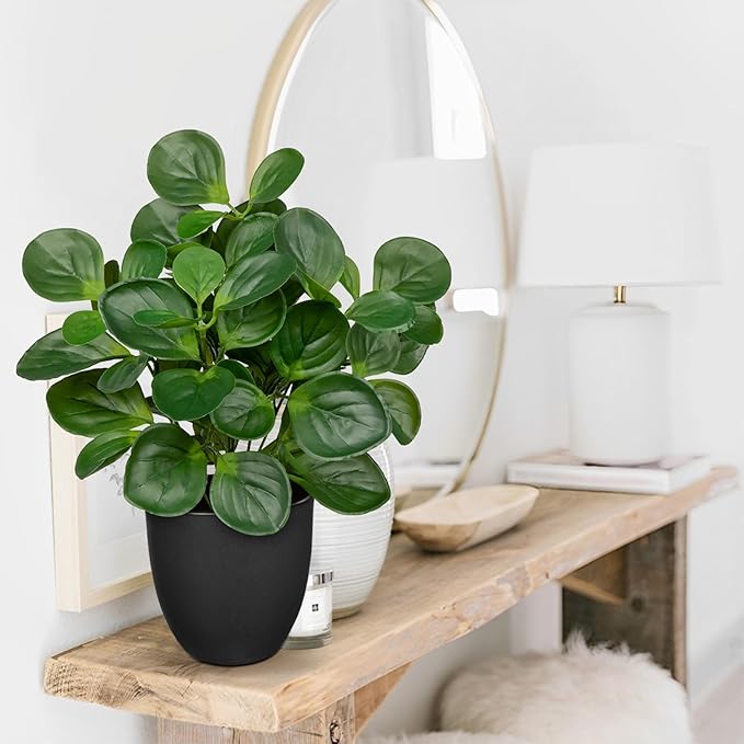 14.5" Artificial Plants Indoor Home Decor, Fake Potted Silk Plants for Shelves Living Room Decorative, Small Artificial Office Desk Plants in Pots, Faux Peperomia Hope Tropical House Plant