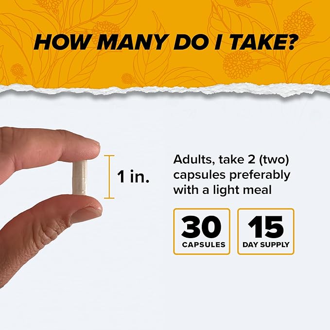 ONNIT Alpha Brain Nootropic Brain Supplement for Men & Women | Memory, Mental Clarity & Cognitive Improvement | Focus Capsules with L-Theanine, Vitamin B6 & Phosphatidylserine (30 Count)