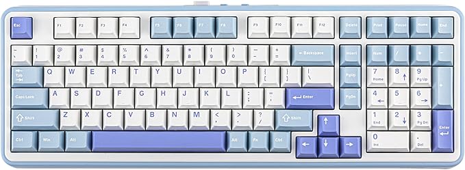 EPOMAKER TH99 Tri-Mode Wireless Mechanical Keyboard with 8000mAh Battery, Hot Swappable Custom RGB Gaming Keyboard with Numpad, Gasket Creamy for PC/Mac/Office (Blue&White)