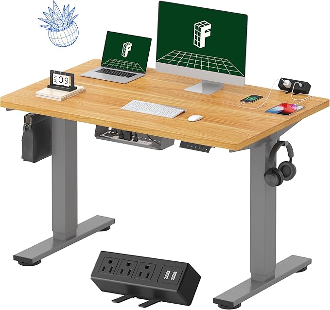 FLEXISPOT EN2 Whole-Piece Standing Desk with Clamp Power Strip, 48 x 30 Electric Stand Up Height Adjustable Desk with Cable Management (Gray Frame + 48" Maple Top, 2 Packages)