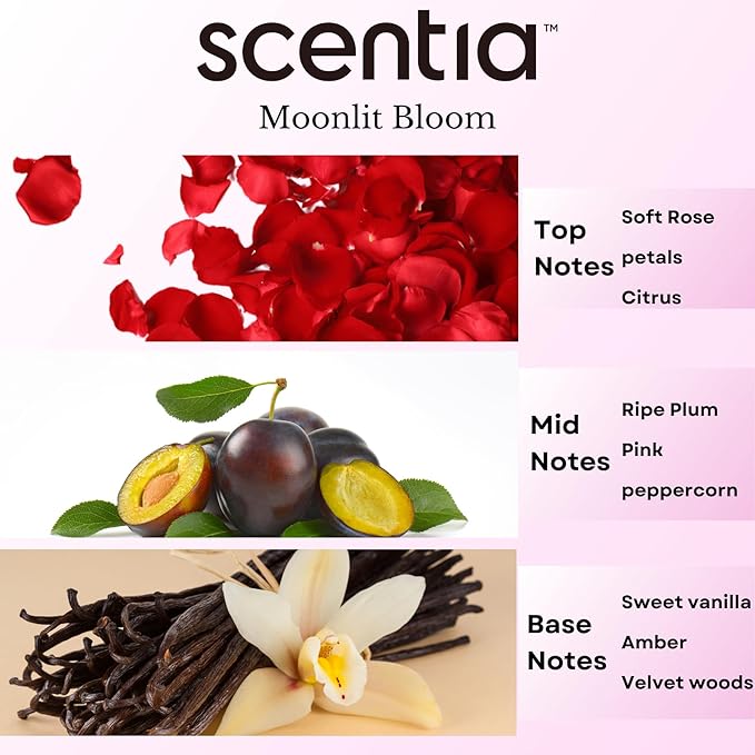 Fragrance Oil Set - Essential Oil Blends for Diffusers, Aromatherapy, Soap & Candle Making, DIY Crafts - Jasmine, Rose, Citrus, Amber, Musk - Valentine's Gift for Her, Couples - 3x20ml (2.03 fl oz)