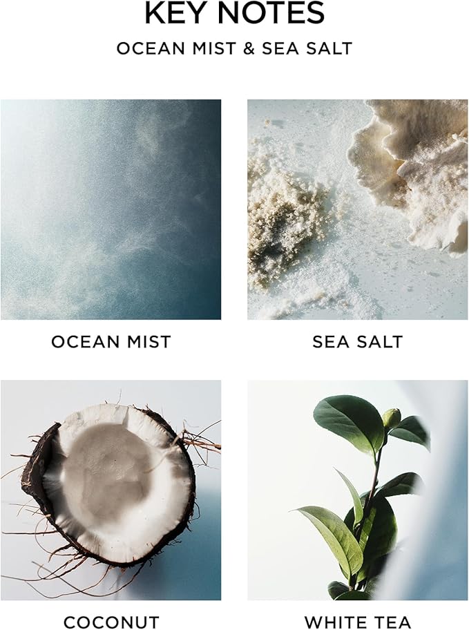 NEST New York Reed Diffuser, Ocean Mist & Sea Salt - 5.9 fl oz - Fragrance for Up to 90 Days - Reusable, Refillable Glass Holder - Includes 8 All-Natural Reed Sticks - Flame Free